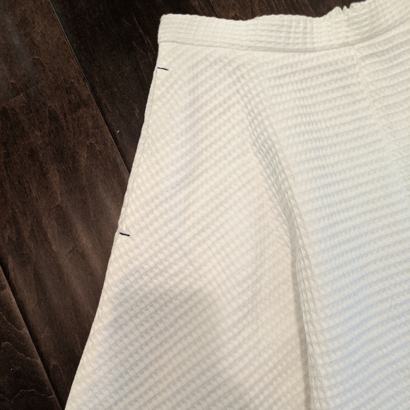BNWT Zara Skirt - Picture 3 of 5